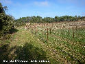 Col de l'Aygue - FR-34- 0212