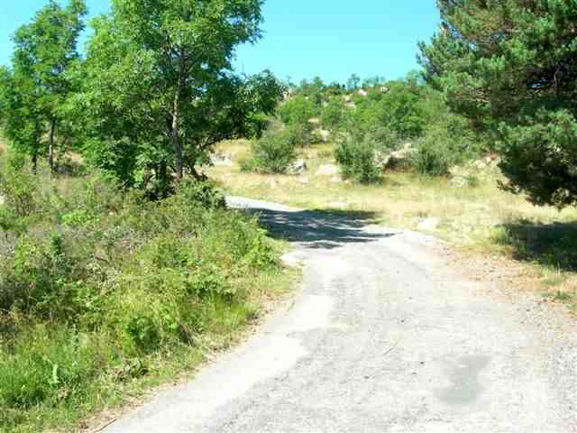 Agrandir l'image En direction du Col de l'Homme