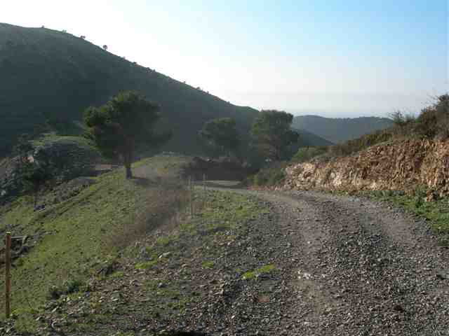 Agrandir l'image Llop