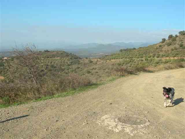Agrandir l'image Coll de la Serra