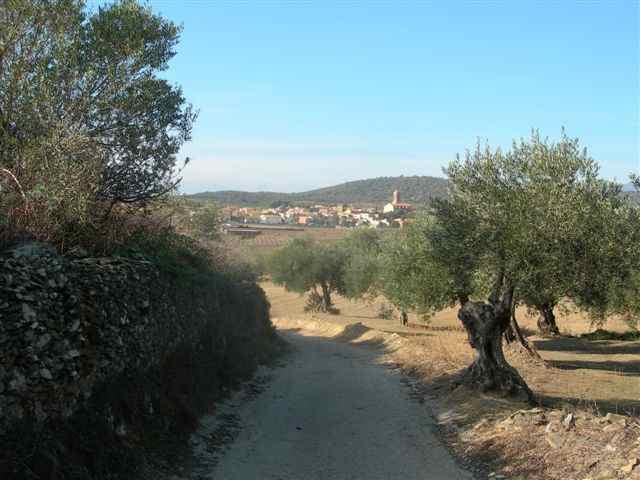 Agrandir l'image Vers Espolla