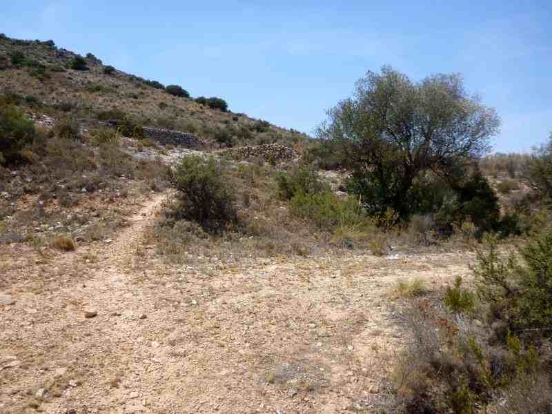 Agrandir l'image En direction du Coll de Beties