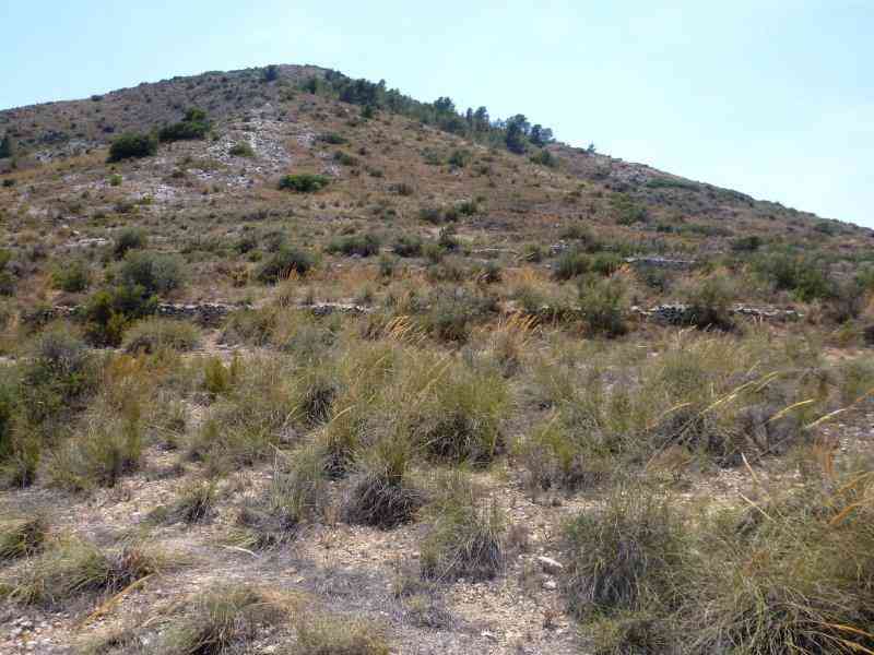Agrandir l'image Coll de Beties - ES-A-468 mètres