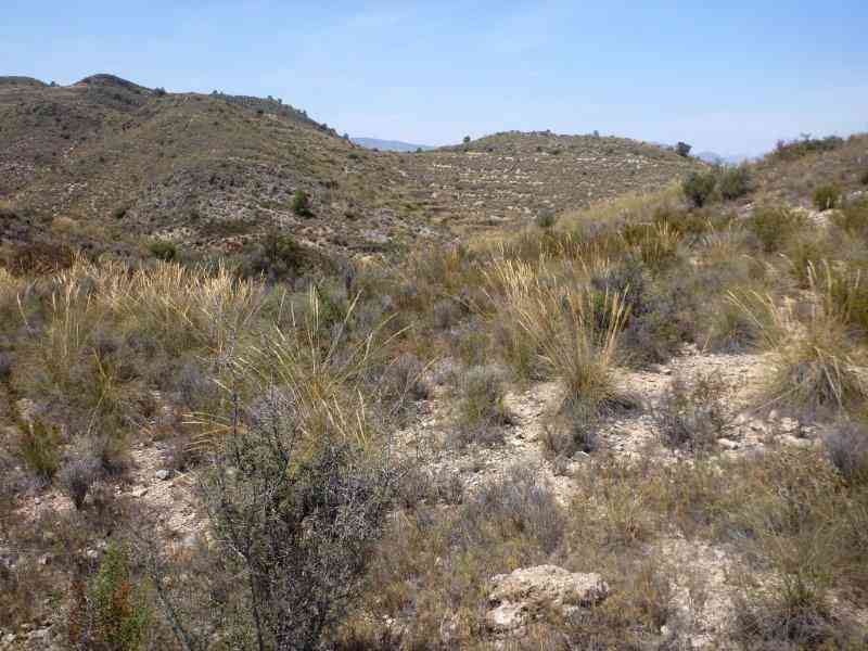 Agrandir l'image Coll de Beties - ES-A-468 mètres