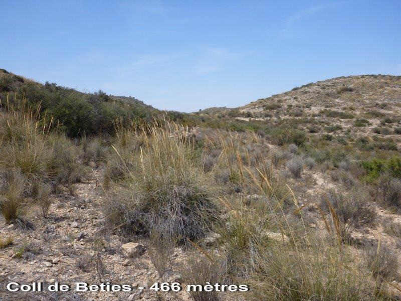 Agrandir l'image Coll de Beties - ES-A-468 mètres