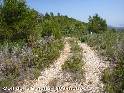 Coll de la Batalla ES-T-0350