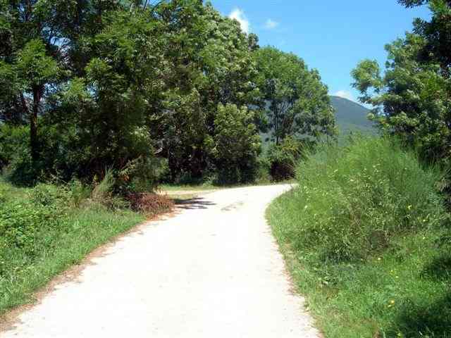 Agrandir l'image Route en direction du coll de la Casassa