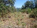 Agrandir l'image Coll dels Ous - ES-T-0441