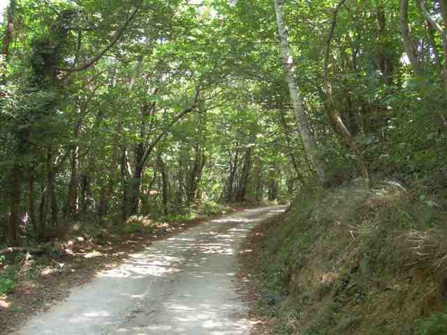 Agrandir l'image Montée à la Collade d'en Banat