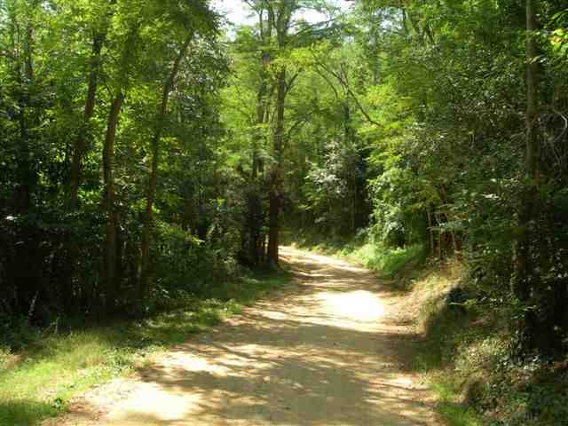 Agrandir l'image Montée à la Collade d'en Banat