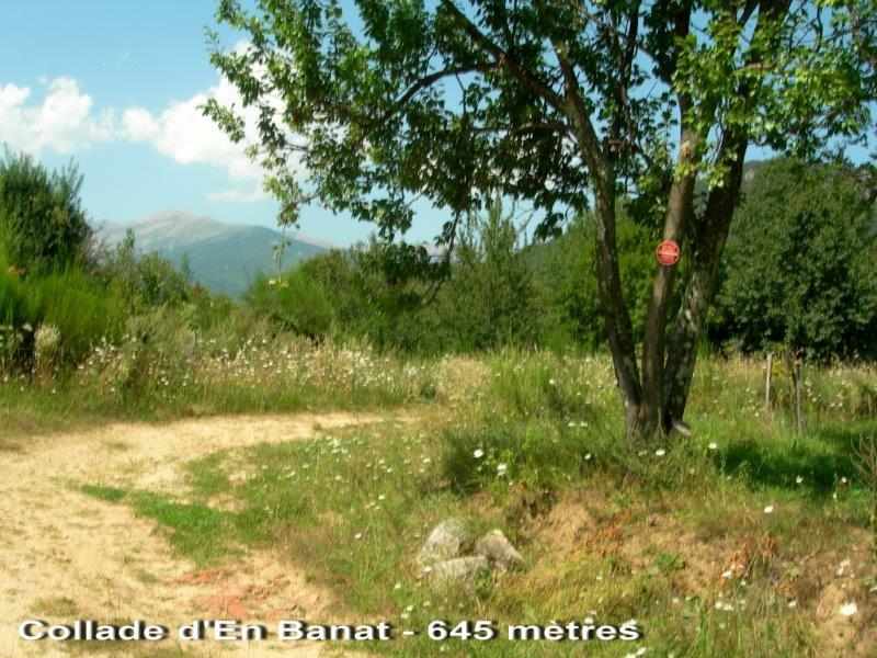 Agrandir l'image Collade d'en Banat - FR-66-0645