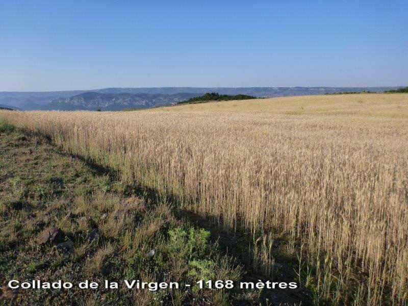 Agrandir l'image Collado de la Virgen