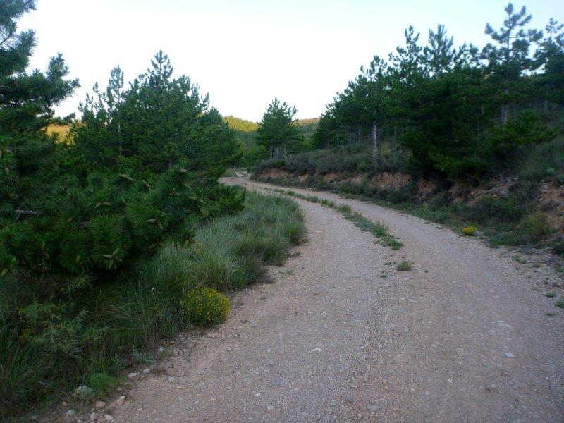 Agrandir l'image En direction du Collado de Peñacid