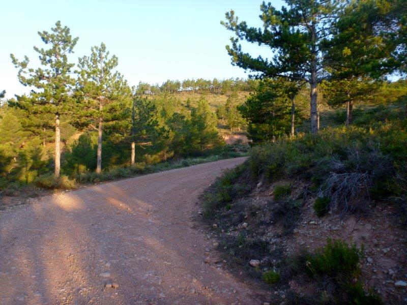 Agrandir l'image En direction du Collado de Peñacid