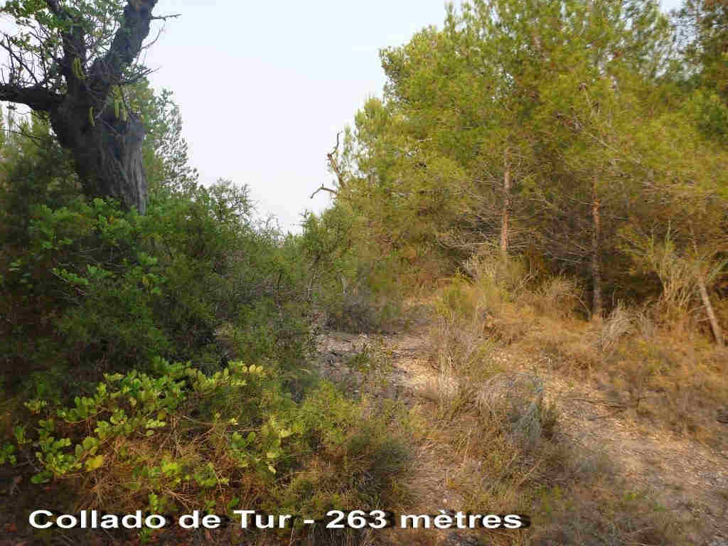 Agrandir l'image Collado de Tur - ES-CS-263 mètres