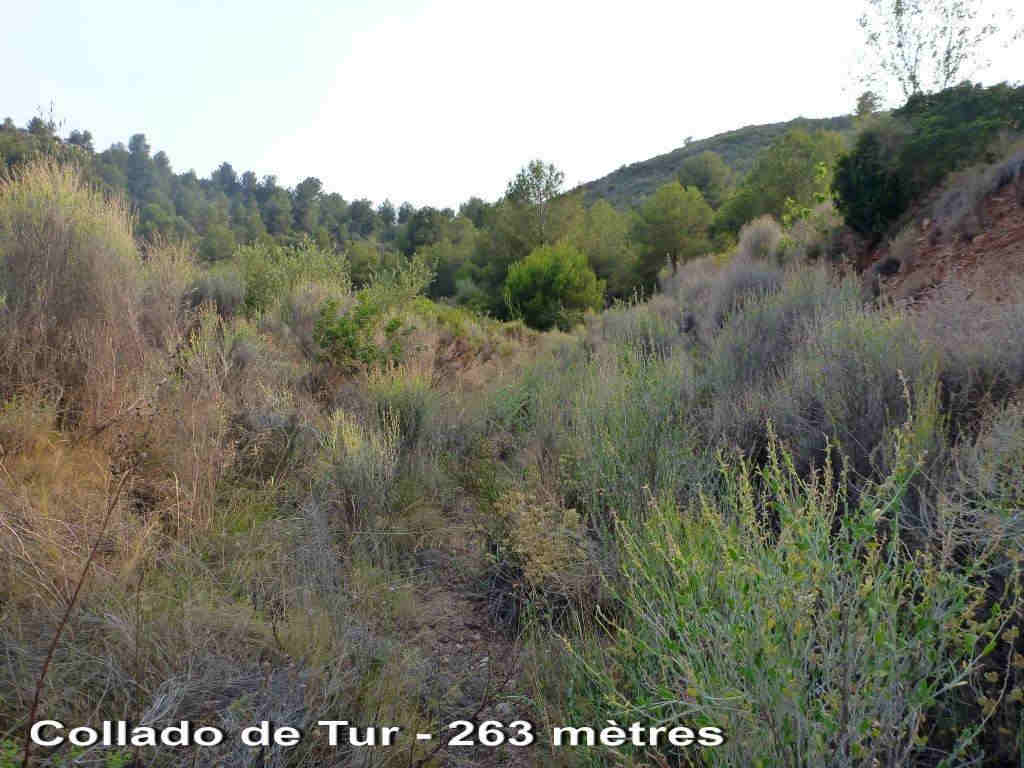Agrandir l'image Collado de Tur