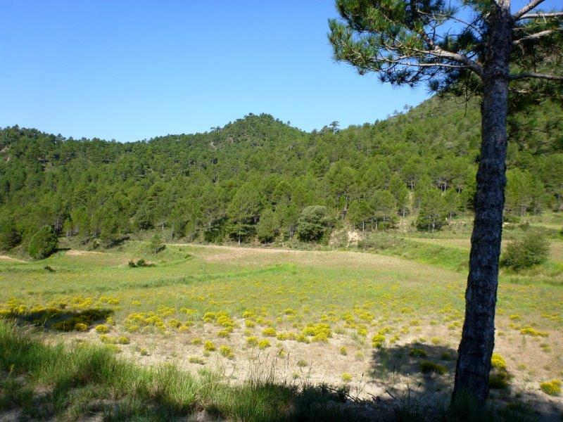 Agrandir l'image En direction du Collado Royo