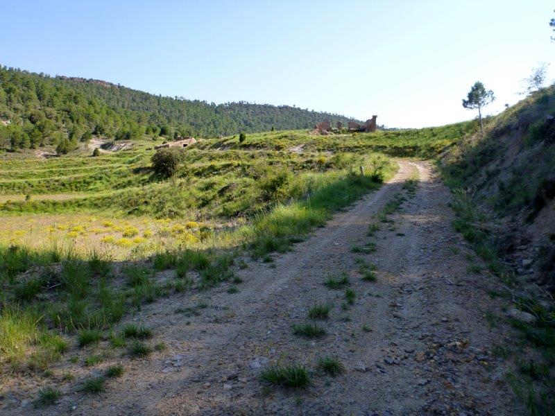 Agrandir l'image En direction du Collado Royo