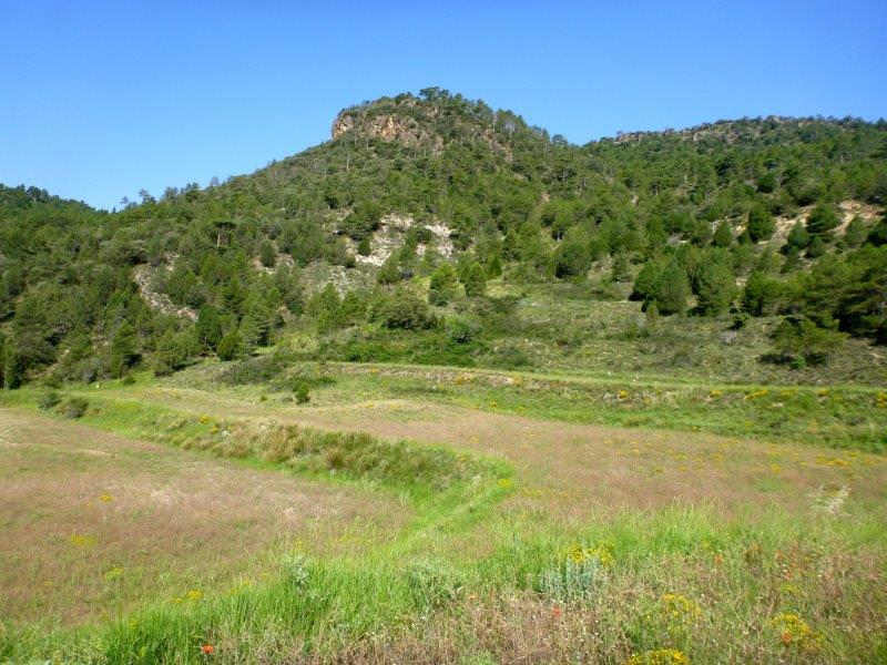 Agrandir l'image En direction du Collado Royo