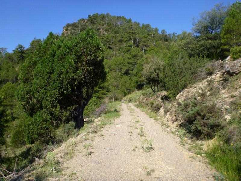 Agrandir l'image En direction du Collado Royo