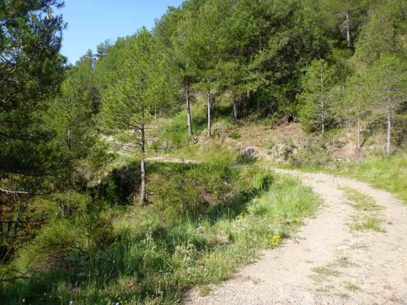 Agrandir l'image En direction du Collado Royo