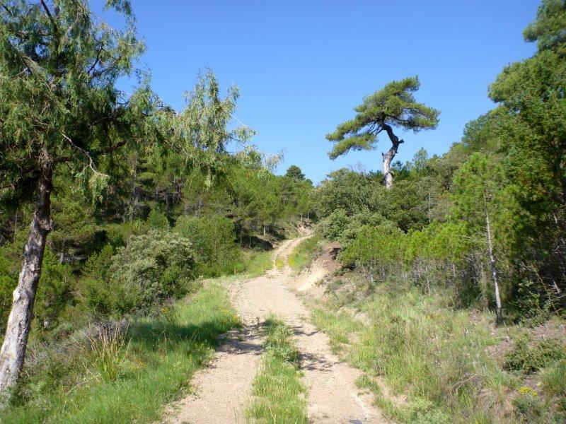 Agrandir l'image En direction du Collado Royo