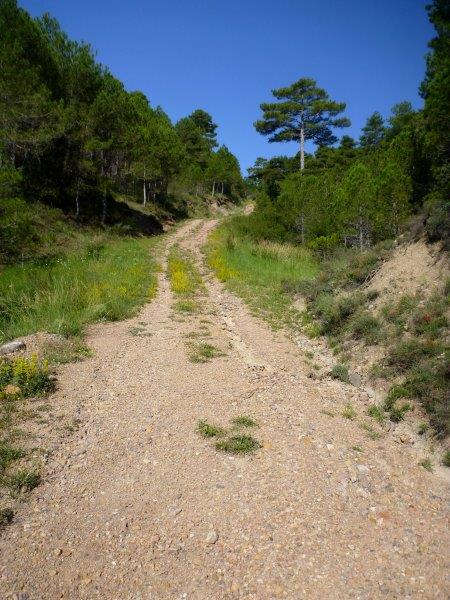 Agrandir l'image En direction du Collado Royo