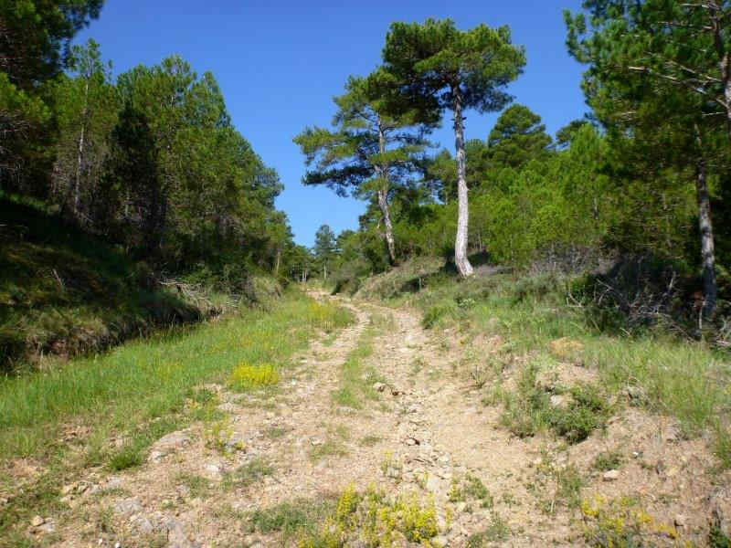 Agrandir l'image En direction du Collado Royo