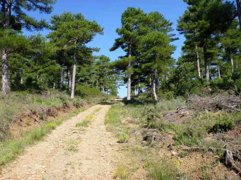 Agrandir l'image En direction du Collado Royo