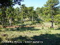 Agrandir l'image Collado Royo - ES-TE-1362
