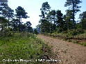 Agrandir l'image Collado Royo - ES-TE-1362