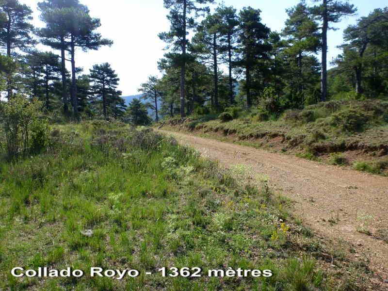 Agrandir l'image Collado Royo