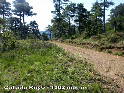 Agrandir l'image Collado Royo - ES-TE-1362