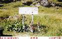 Agrandir l'image Col du Mont Cenis - FR-73-2081