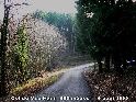 Col du Mas Haut - FR-34-0550