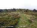 Agrandir l'image Col du Rachat - FR-42-1375
