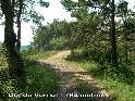 Col de Vernet - FR-66-0787