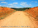 Cols de la province de Castellón de Jacques Mancip