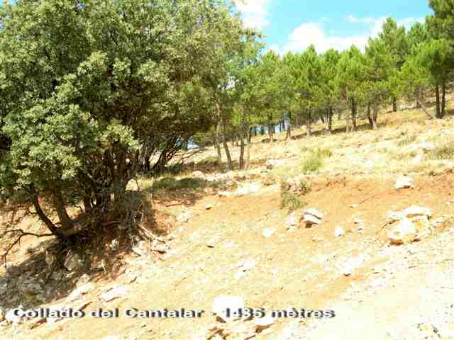 Agrandir l'image Collado del Cantalar - ES-AB- 1435 m