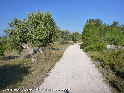 Agrandir l'image Coll de Comes - ES-T-224 mètres