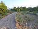 Agrandir l'image Coll del Cau de la Rabosa - ES-T-99 mètres
