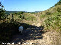 Col de Monbel - FR-09-0420