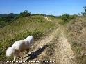 Agrandir l'image Col de Monbel - FR-09-0420