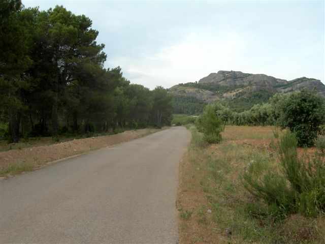Agrandir l'image Els Ports, route