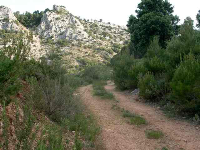 Agrandir l'image Chemin du Coll de la Terra