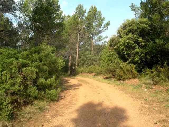 Agrandir l'image Chemin du Coll de la Terra