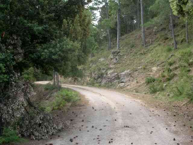Agrandir l'image Piste en direction du Coll Blanc (Els Ports)