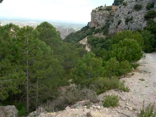 Agrandir l'image Piste en direction du Coll Blanc (Els Ports)