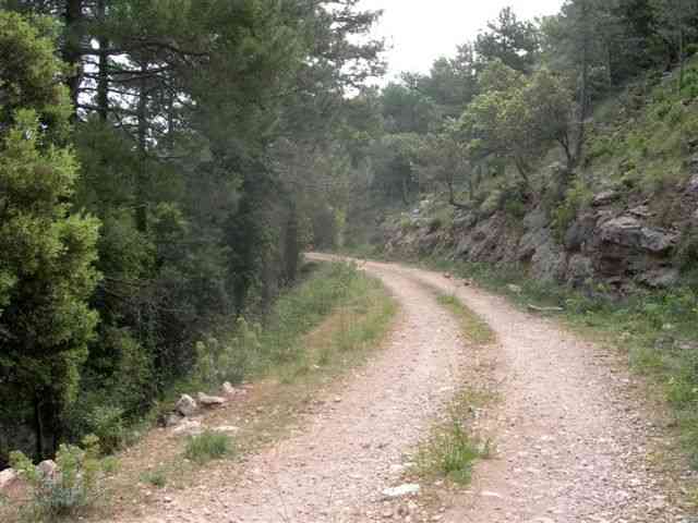 Agrandir l'image Piste en direction du Coll Blanc (Els Ports)