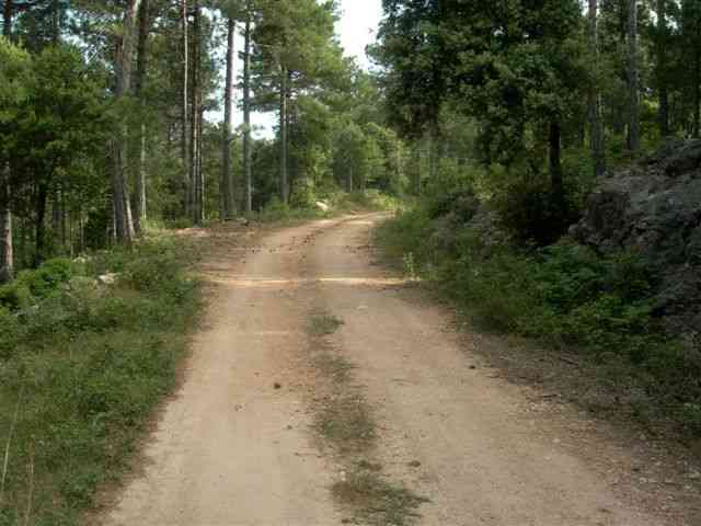 Agrandir l'image Piste en direction du Coll Blanc (Els Ports)
